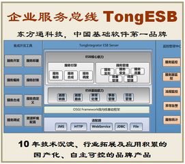 携手东方通tongesb，共创数字化转型新篇章 诚邀客户、伙伴与渠道合作共赢