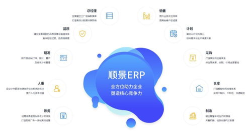 广东顺景软件ERP系统在企业管理中的应用意义与软件服务深度解析